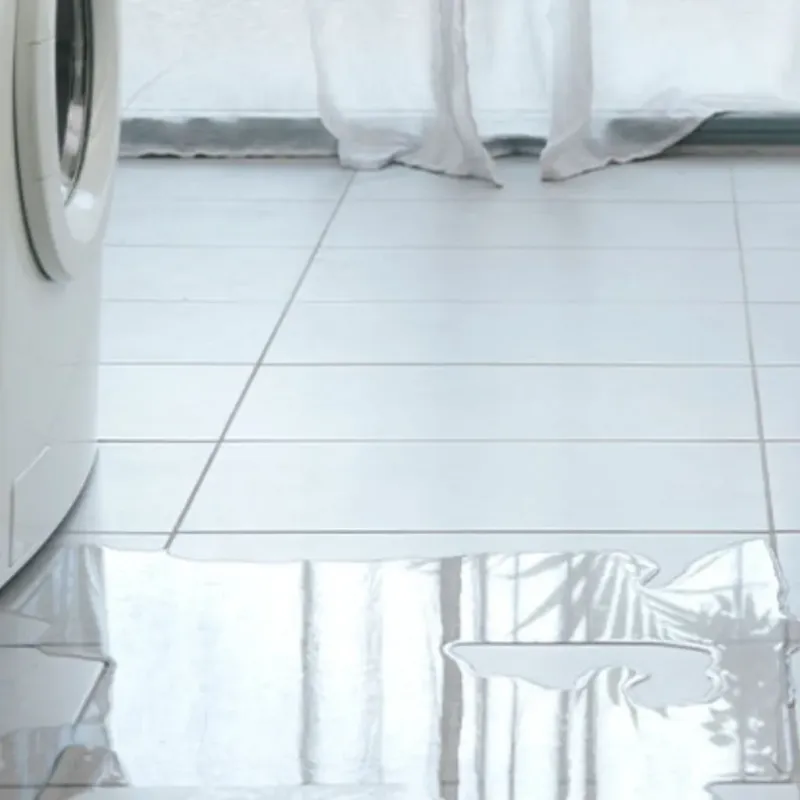 Appliance Leak Cleanup in Corralitos, CA